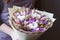 Bouquet of dried flowers in the hands of a florist girl lavender cereal on a gray background