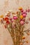 A bouquet of dried flowers Helichrysum