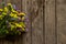 Bouquet of dried flowers statice lies on a wooden table