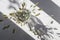 Bouquet of dry grass inflorescences in a glass jar on a gray background in the sun and shadows from objects, top view