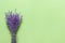 Bouquet of dry purple fragrant lavender on green paper background