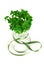 Bouquet of false shamrock with green ribbon