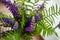 Bouquet of fern, lupine stands in a vase