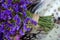 Bouquet of field and arid flowers on cloth with leopard and zebra print.