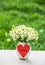 Bouquet of field chamomiles in vase and red heart. Heart postcard and bouquet of camomiles. Romantic concept.