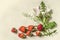 Bouquet of field herbs with flowers and  strawberries