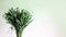 A bouquet of field herbs on a light background