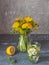 A bouquet of the first primroses in a glass jug and a soft drink with lemon and lemon balm. Blooming yellow dandelions, canola and