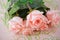 Bouquet five pink roses background