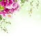 Bouquet, floral background