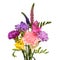 Bouquet flower freesia, carnation and veronica isolated on white background