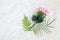 bouquet of flower with leaves on white artificial wool background