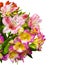 bouquet of flowers. Alstroemeria. Bouquet of flowers Alstroemeria. Flowers Alstroemeria. Bouquet of alstroemeria flowers isolated