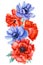 Bouquet of flowers, anemone, poppy on an isolated white background, watercolor painting, flora design