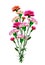 Bouquet of flowers carnation.