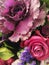 Bouquet of flowers. Celebration. Field of roses for screensaver.