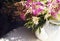 bouquet flowers close-up white kettle table sunlight