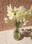 a bouquet of flowers of daffodils against the background of the wall
