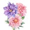 Bouquet of flowers dahlia, clematis, watercolor botanical illustration