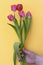 Bouquet of flowers and hands, with a card for, a card for mom, the hands of an old woman, tulips bouquet