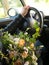 Bouquet of flowers in the hands of the driver