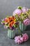 Bouquet of flowers: peony, matricaria and serruria florida