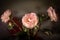 Bouquet of flowers, pink fabric roses on a dark background