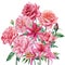 Bouquet of flowers roses, lilies and peonies, watercolor botanical illustration, wedding design