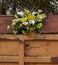 Bouquet of flowers sticking out from a trash container