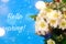 A bouquet of flowers in a vase. Different colors. A bouquet. Blue background. Plants and flowers . Hello spring banner. New season