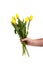 A bouquet of fragile yellow flowers in a man`s hand