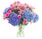 Bouquet fresh pink roses and blue hortensia flowers