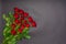 Bouquet of fresh red rose flowers on black background. Floral composition, mourning card for event, mock up. Mourning, condolence