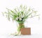 Bouquet of fresh snowdrops flowers with a paper card on white background