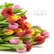 Bouquet of the fresh tulips