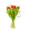 Bouquet of the fresh tulips