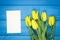 Bouquet of fresh tulips on blue wooden background, copy space for text on sheet of paper