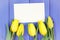 Bouquet of fresh tulips on purple wooden background, copy space for text on sheet of paper