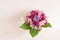 Bouquet of fresh  vivid sweet pea flowers in a vase close-up, selective focus on pink background