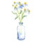 Bouquet of garden chamomile flowers in a glass vase or bottle, chamomile daisy, camomile plant, isolated, hand drawn