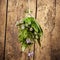 Bouquet garni of assorted fresh herbs