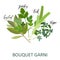 Bouquet Garni herbs set
