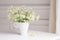 Bouquet of gentle camomile in white cup. Morning light in the room. Soft home decor,  vase with white flowers on  white wall