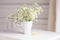 Bouquet of gentle camomile in white cup. Morning light in the room. Soft home decor,  vase with white flowers on  white wall