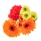 Bouquet of gerbera, carnation, chrysanthemum flowers on white background