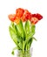 Bouquet of ginger red tulips