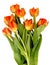 Bouquet of ginger tulips isolated