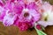 Bouquet gladiolus rests upon dark