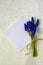 Bouquet of grape hyacinths. White sheet and bouquet of delicate spring flowers  tied with twine  on white sacking.