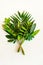 Bouquet of green leaves of various tropical plants on a white background.